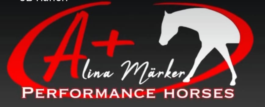 performance horses